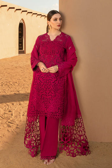 RANG RASIYA-CHIKANKARI 3PC EMBROIDERED LAWN SHIRT WITH ORGANZA EMBROIDERED DUPATTA AND TROUSER -DPC-2885